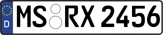 MS-RX2456