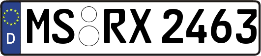 MS-RX2463