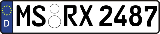 MS-RX2487