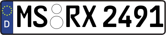 MS-RX2491