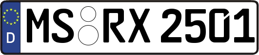 MS-RX2501