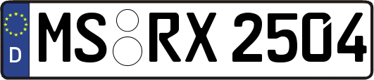 MS-RX2504