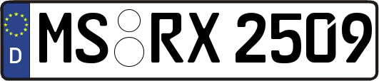 MS-RX2509