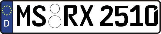 MS-RX2510