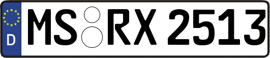 MS-RX2513