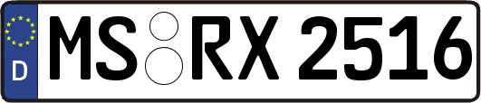 MS-RX2516