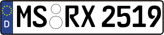 MS-RX2519