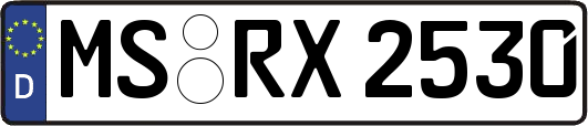 MS-RX2530
