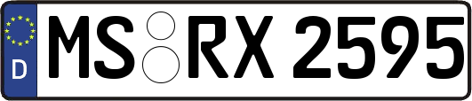 MS-RX2595