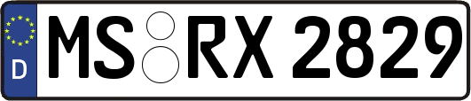 MS-RX2829