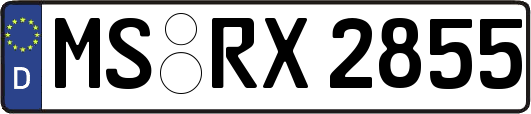 MS-RX2855