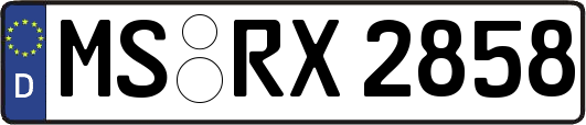 MS-RX2858