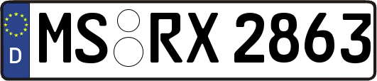 MS-RX2863