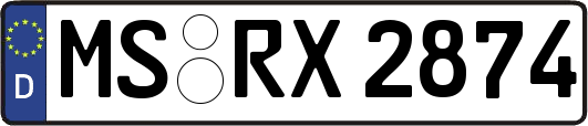 MS-RX2874