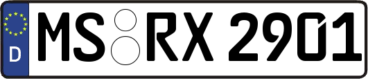 MS-RX2901