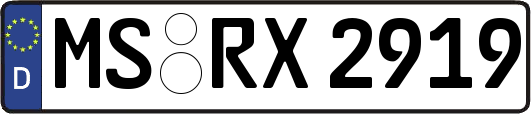 MS-RX2919