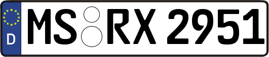 MS-RX2951