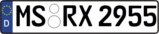 MS-RX2955