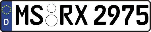 MS-RX2975