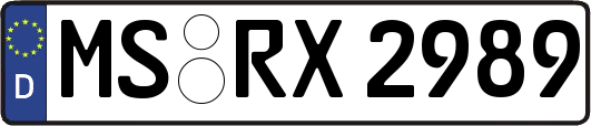 MS-RX2989
