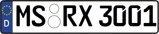 MS-RX3001