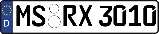MS-RX3010