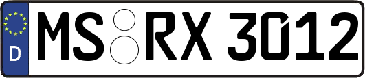 MS-RX3012
