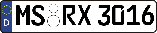 MS-RX3016