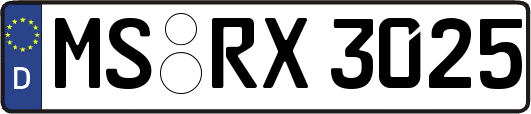 MS-RX3025