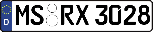 MS-RX3028