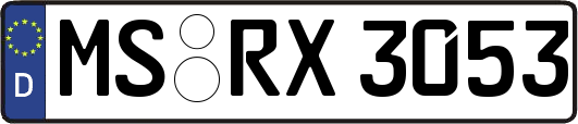 MS-RX3053