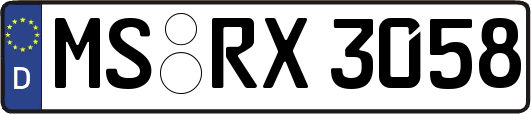 MS-RX3058