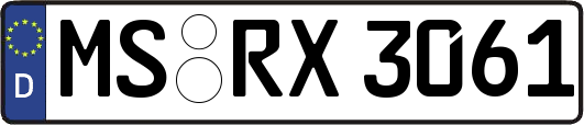 MS-RX3061