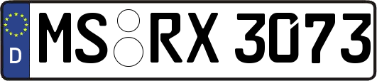 MS-RX3073