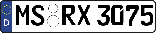 MS-RX3075