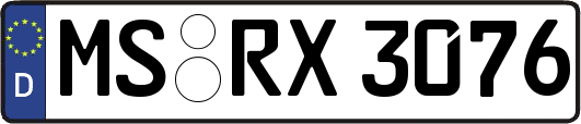 MS-RX3076