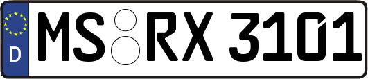 MS-RX3101