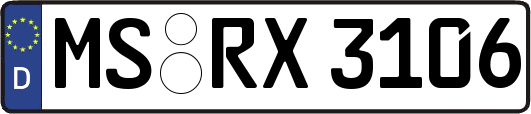 MS-RX3106