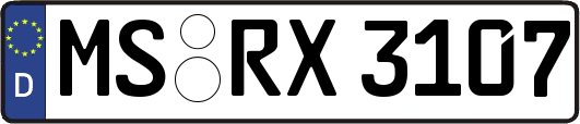 MS-RX3107