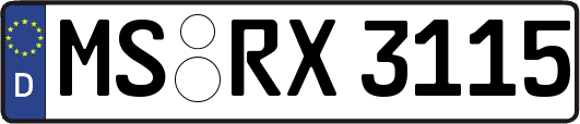 MS-RX3115