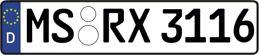 MS-RX3116