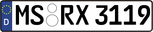 MS-RX3119