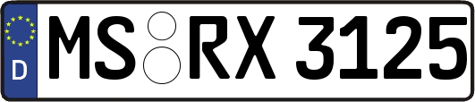 MS-RX3125