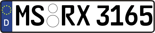 MS-RX3165