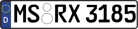 MS-RX3185