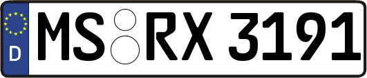 MS-RX3191
