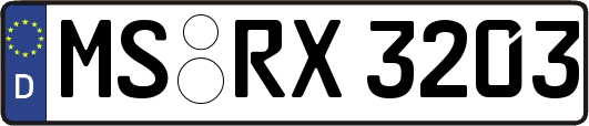 MS-RX3203