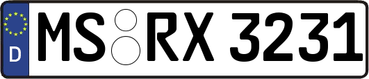 MS-RX3231