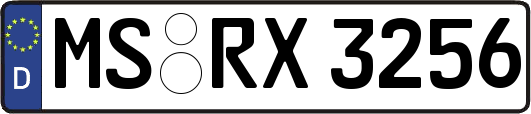 MS-RX3256