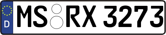 MS-RX3273